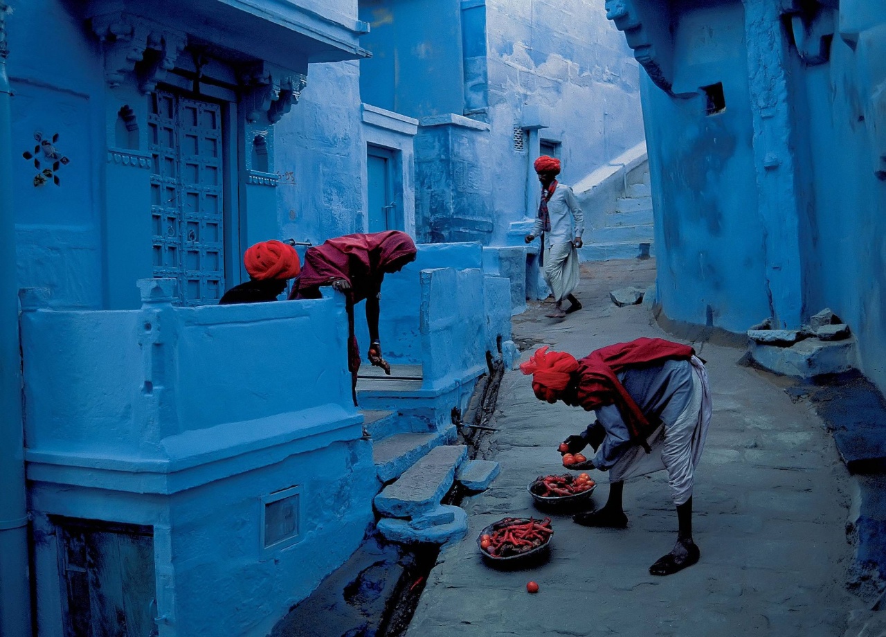 Враг термитов и москитов в городе Джодхпур, Индия