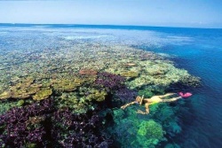В Австралии будет открыт океанический заповедник