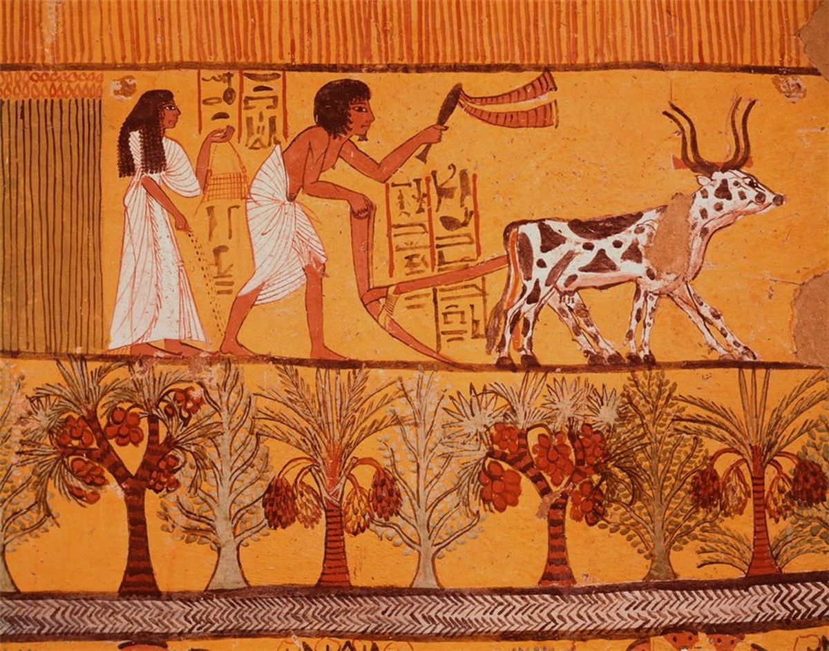 древний-Египет-фрески.jpg