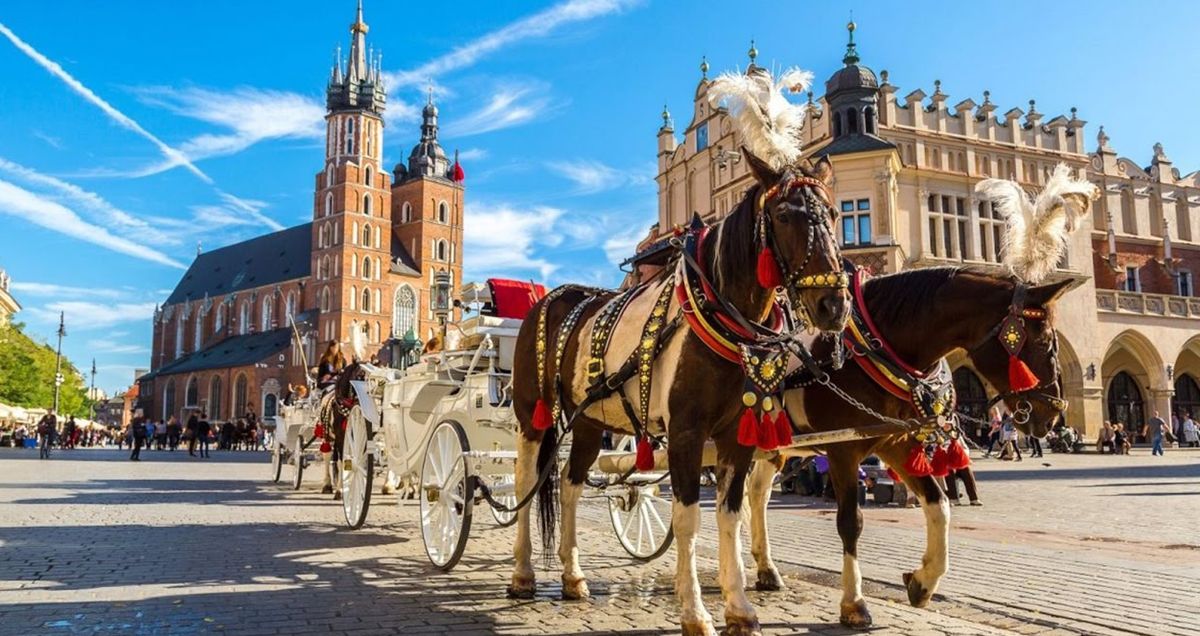 Краков-Польша-лошади.jpg