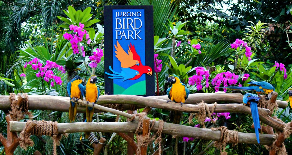 Парк-птиц-Джуронг-Сингапур-jurong-bird-park.jpg