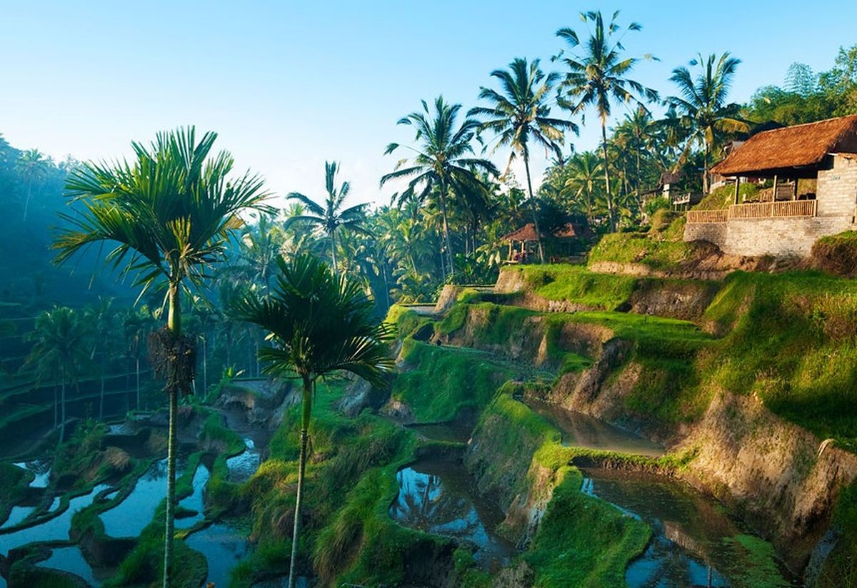 Бали-Bali.jpg